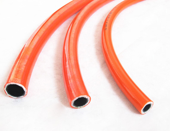 Thermoplastic hose